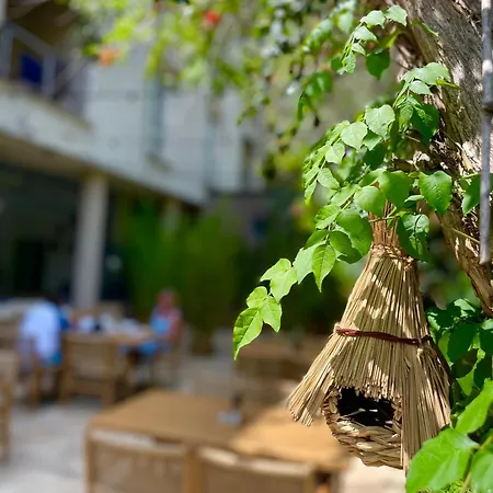 Carmen 酒店 艾福雷诺德