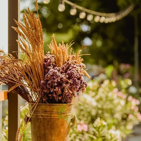 Carmen 3* 데포리노드