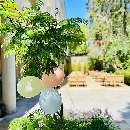 Carmen 데포리노드